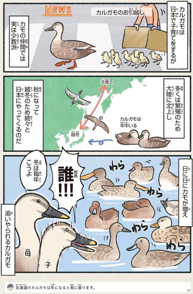 誰！！！ （C）piro piro piccolo／KADOKAWA