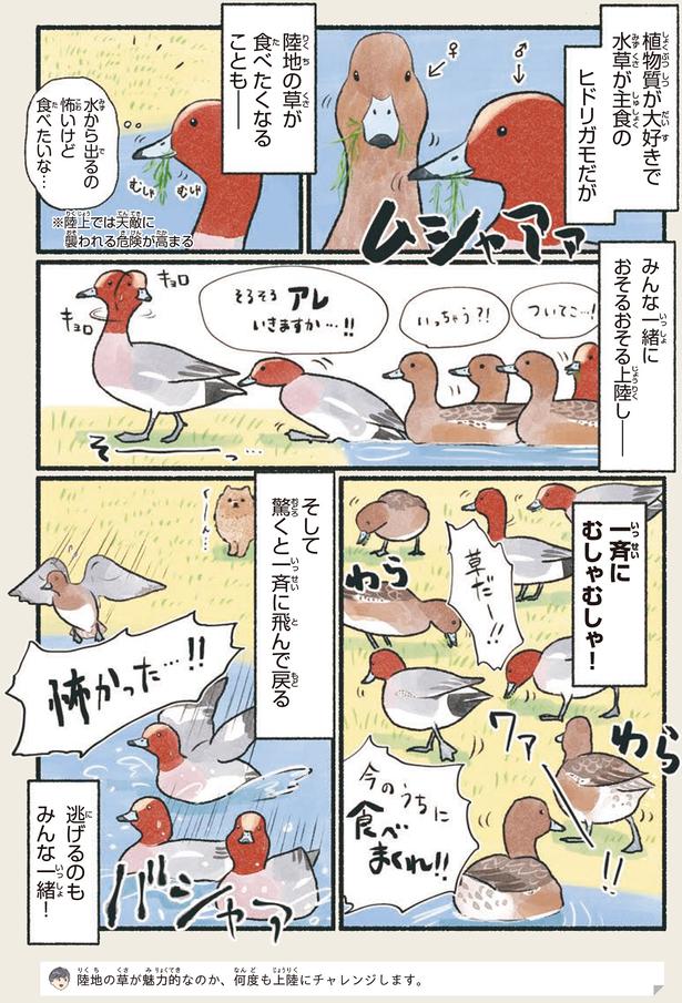 一斉にむしゃむしゃ！ （C）piro piro piccolo／KADOKAWA