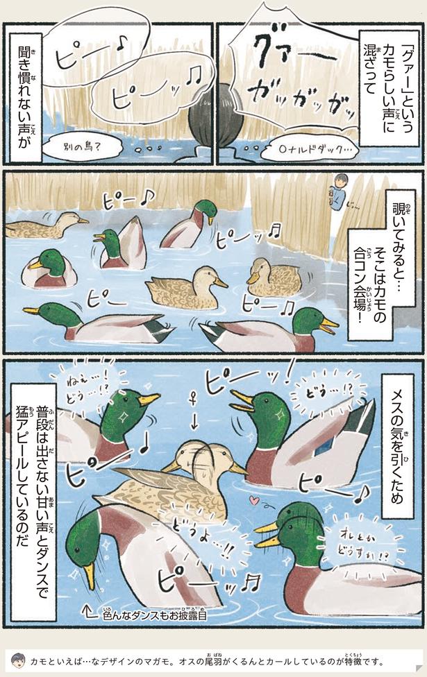 そこはカモの合コン会場！ （C）piro piro piccolo／KADOKAWA