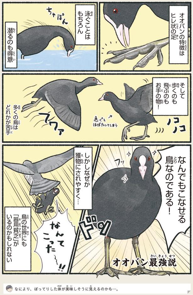 鳥の世界にも「器用貧乏」がいるのかもしれない （C）piro piro piccolo／KADOKAWA
