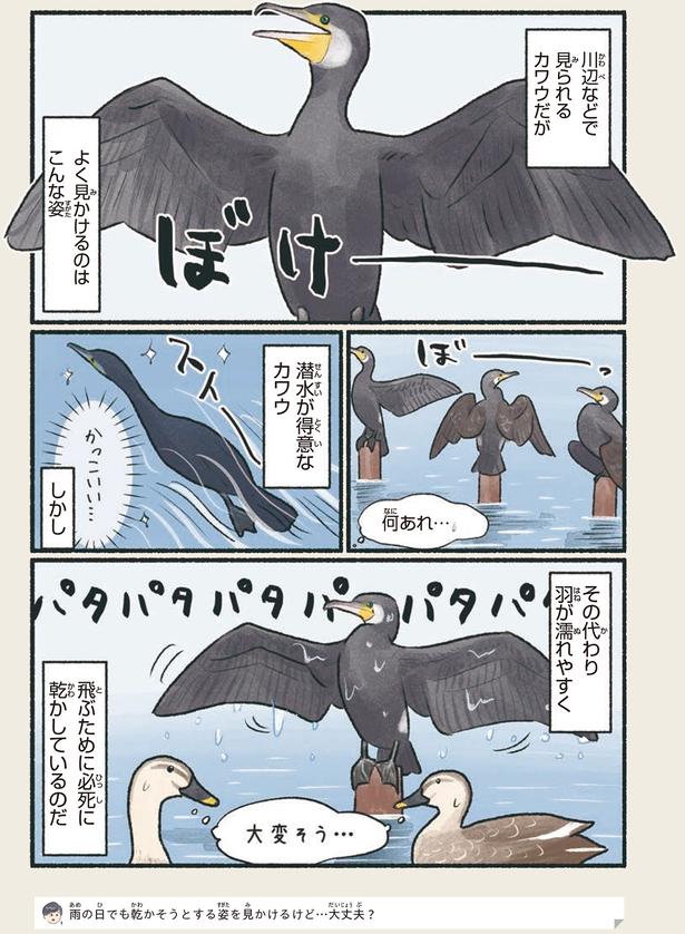 飛ぶために必死に乾かしているのだ （C）piro piro piccolo／KADOKAWA