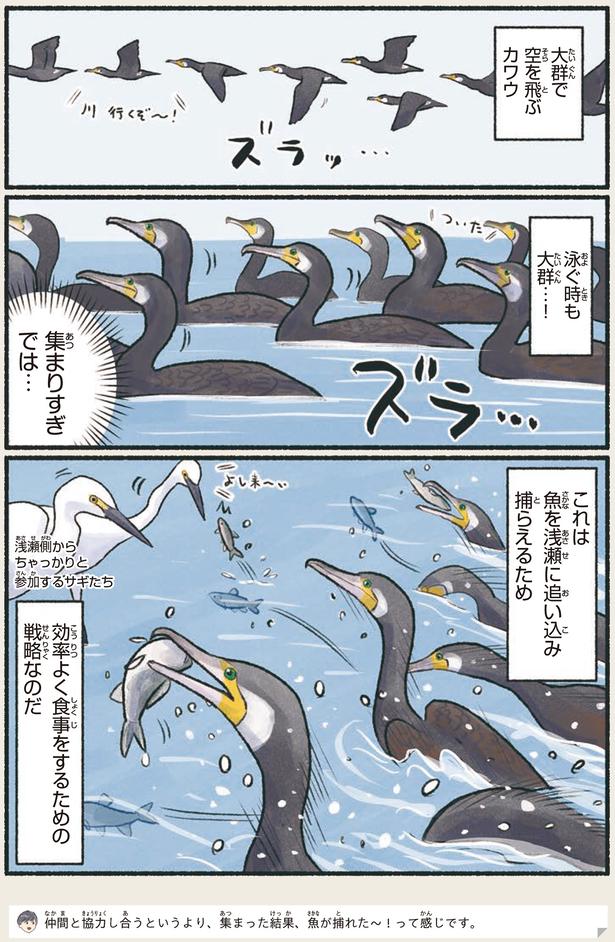 集まりすぎでは… （C）piro piro piccolo／KADOKAWA