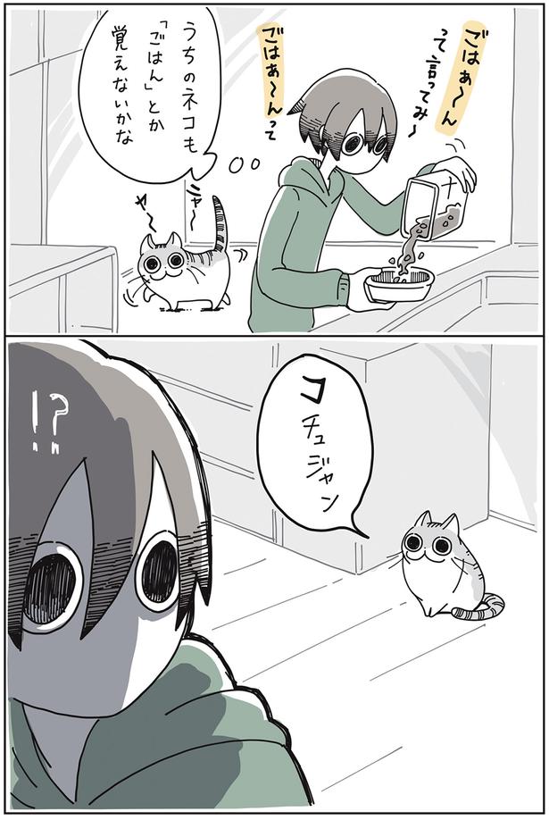 コチュジャン （C）キュルZ／KADOKAWA