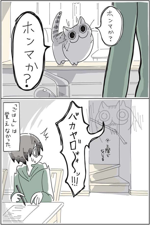 「ごはん」は覚えなかった （C）キュルZ／KADOKAWA