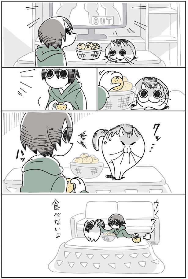 食べないよ （C）キュルZ／KADOKAWA