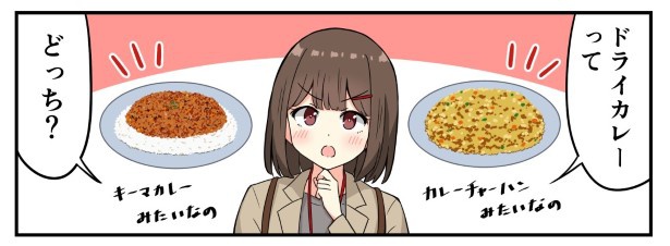 ドライカレーの定義とは? ちゃー(@tyanekosu)