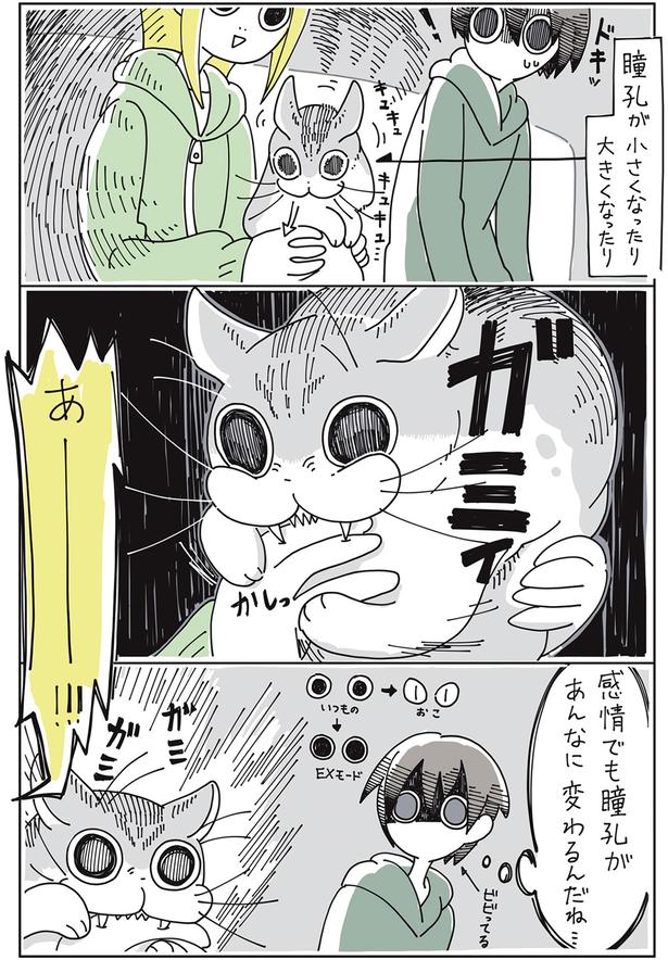 感情でも （C）キュルZ／KADOKAWA