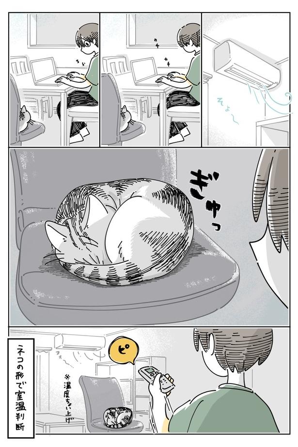 02 画像提供:キュルZ@kyuryuZ