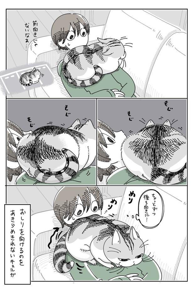 02 画像提供:キュルZ@kyuryuZ