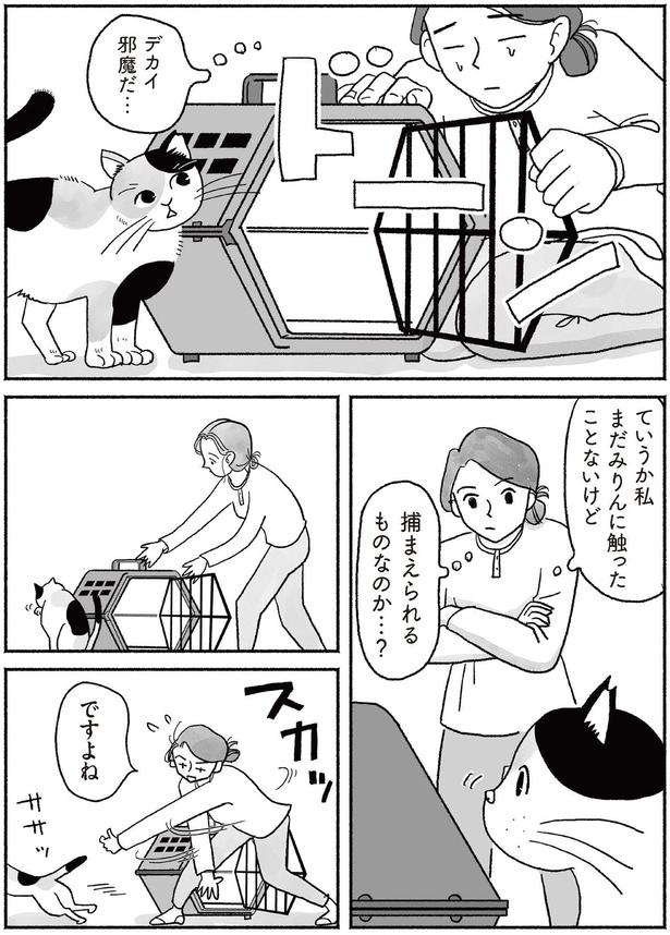 捕まえられるものなのか…？ (C)沫原 ちみ、チャン・メイ／KADOKAWA