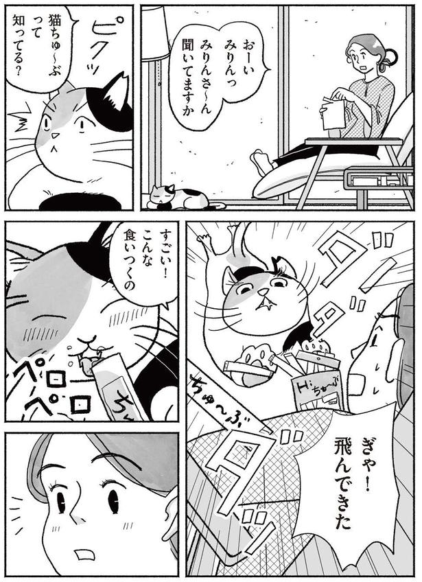 飛んできた (C)沫原 ちみ、チャン・メイ／KADOKAWA