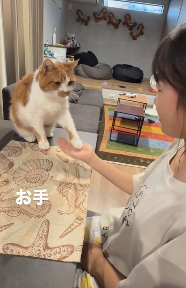お手（⇒次へ） yukinko5963さんのInstagramより
