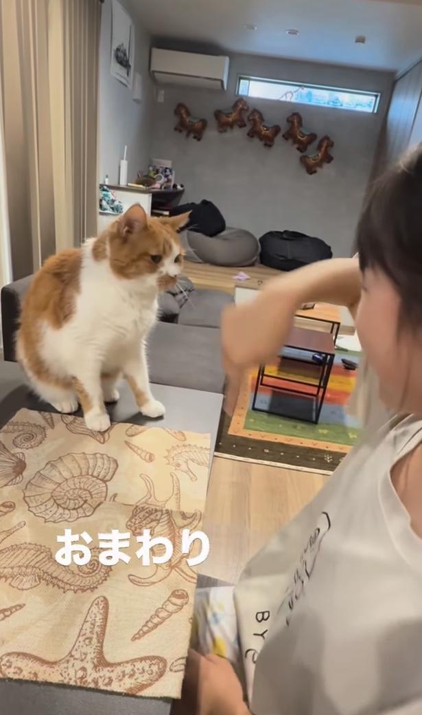 “おまわり”できるかな？▶ゆっくり腰を上げ…（⇒次へ） yukinko5963さんのInstagramより