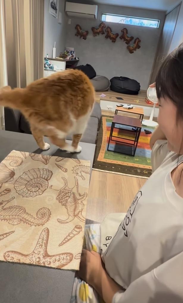 のんびり回転▶次は…（⇒次へ） yukinko5963さんのInstagramより