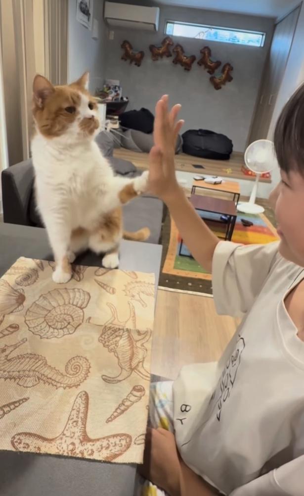 前足でタッチ▶さらに…(⇒次へ) yukinko5963さんのInstagramより