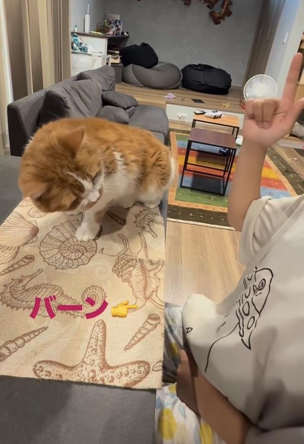 背中を落とす▶机に…（⇒次へ） yukinko5963さんのInstagramより