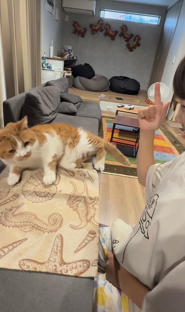 ごろん▶見事なパフォーマンスに…（⇒次へ） yukinko5963さんのInstagramより
