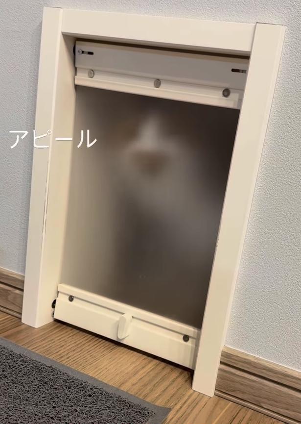 猫用ドアに影▶人間用ドアを開けると…(⇒次へ) yukinko5963さんのInstagramより