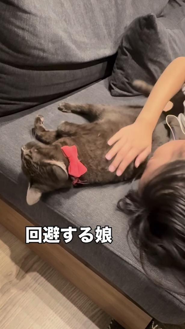 仲良しなきのこちゃんと娘さん▶(次画像から飼い猫がモンペ化!?口達者な娘と過保護な猫たちとの騒がしい日々『マジレス幼児とモンペ猫 口達者な娘と過保護すぎる猫たちとの日常』が読めます) yukinko5963さんのInstagramより