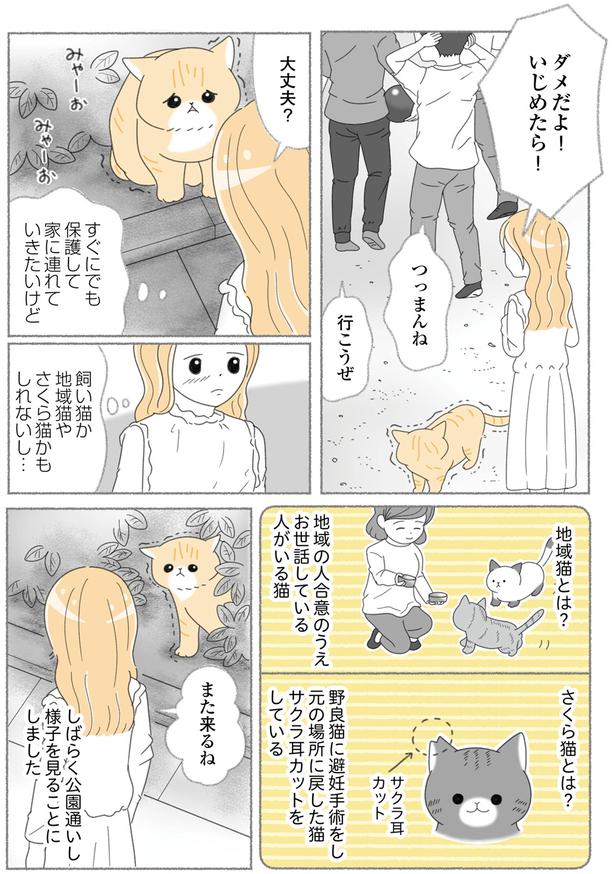 様子を見ることにしました （C）ゆきよみ、にゃんかつ／KADOKAWA