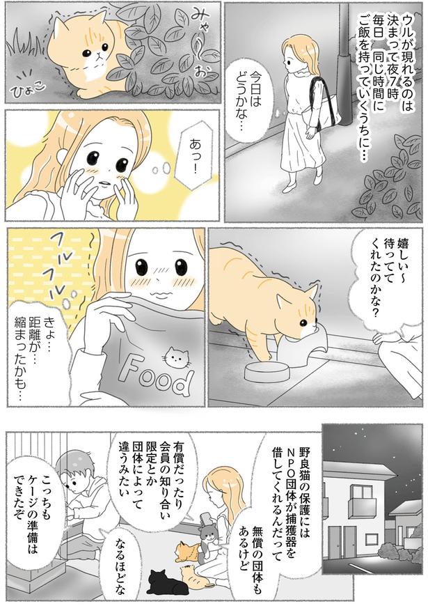 待っててくれたのかな？ （C）ゆきよみ、にゃんかつ／KADOKAWA