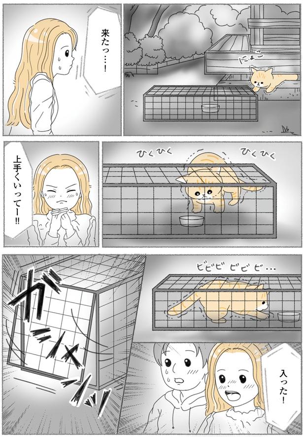 来たっ…！ （C）ゆきよみ、にゃんかつ／KADOKAWA