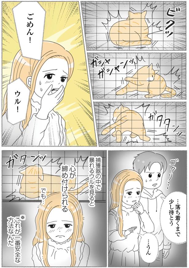 ごめん！ （C）ゆきよみ、にゃんかつ／KADOKAWA