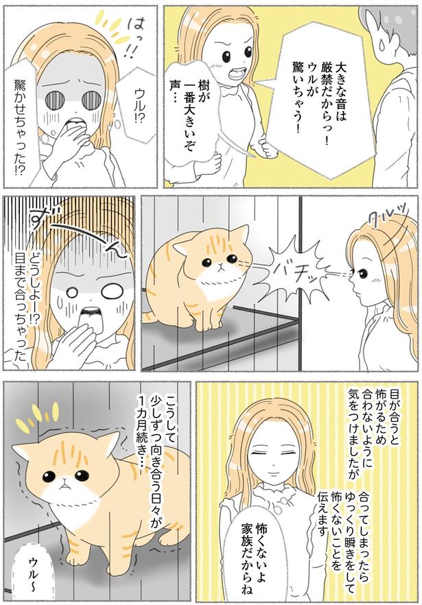 驚かせちゃった！？ （C）ゆきよみ、にゃんかつ／KADOKAWA