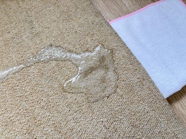 炭酸水がシュワシュワし、汚れを浮かす（▶次へ） 撮影／ひろ