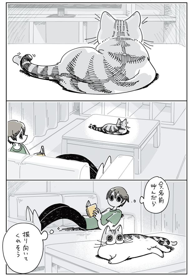 振り向いてくれるかな… （C）キュルZ／KADOKAWA
