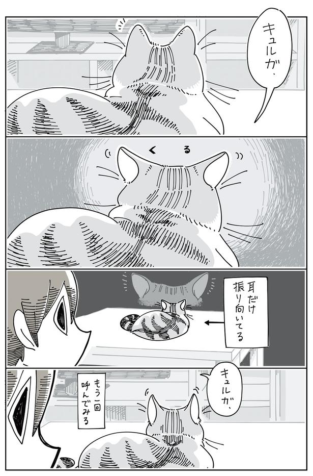 耳だけ振り向いてる （C）キュルZ／KADOKAWA