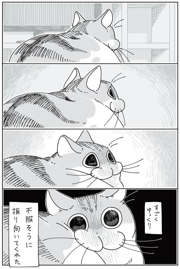 すごくゆっくり… （C）キュルZ／KADOKAWA