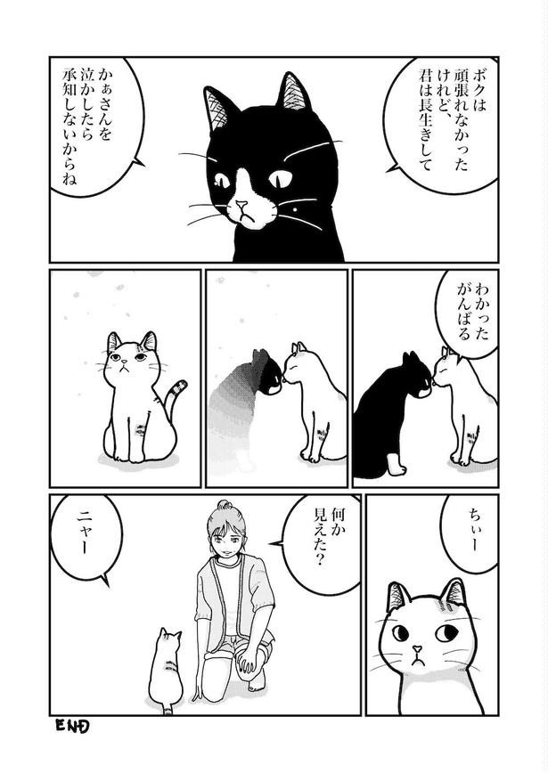 前任者からの伝達事項(4) 画像提供：白熊便利軒ホセ(@sasadebris)