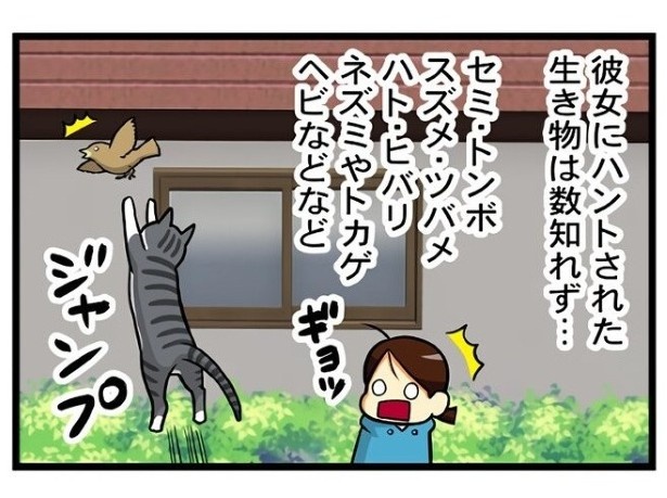 飛ぶ鳥も落とす勢いとはこのこと？ もちこ(@mogutchecho)