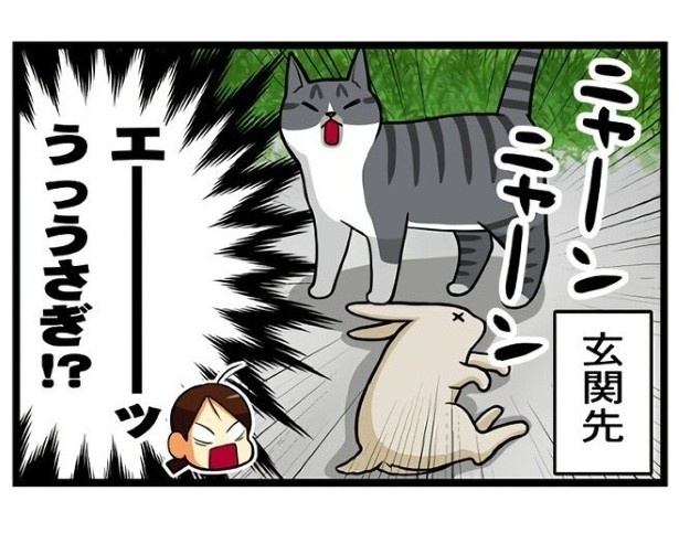 実家の猫1_P04 もちこ(@mogutchecho)