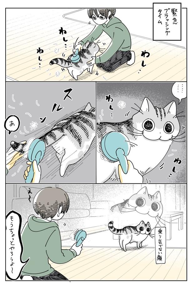 02