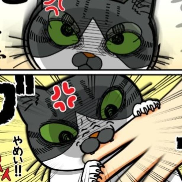 「かづち」が思わず「倍返し」してしまったのは一体なぜ…!?