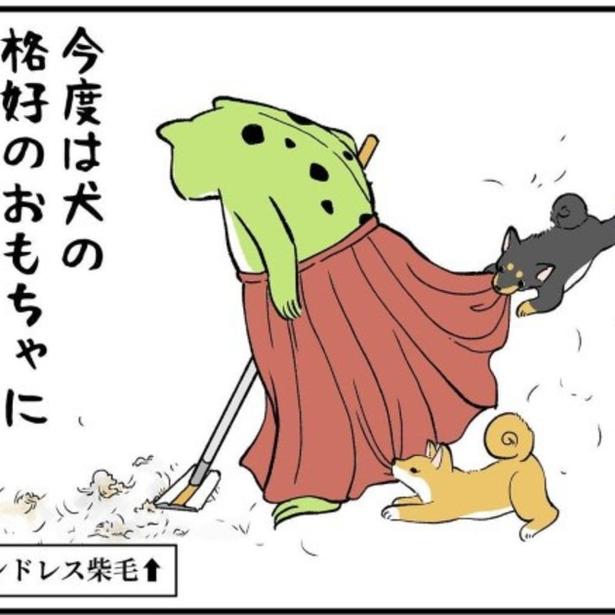 ファッションの神アイテム「ロングスカート」も犬たちにとってはただのオモチャ!?