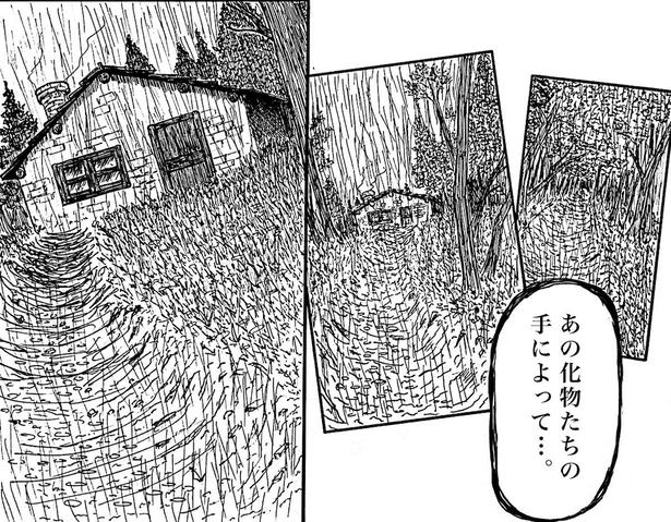 画像提供：森本大百科(@mdaihyakka)