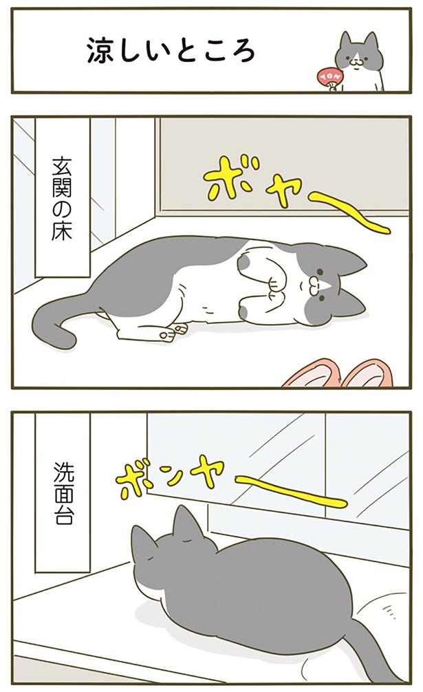 涼しいところ （C）卵山玉子／KADOKAWA