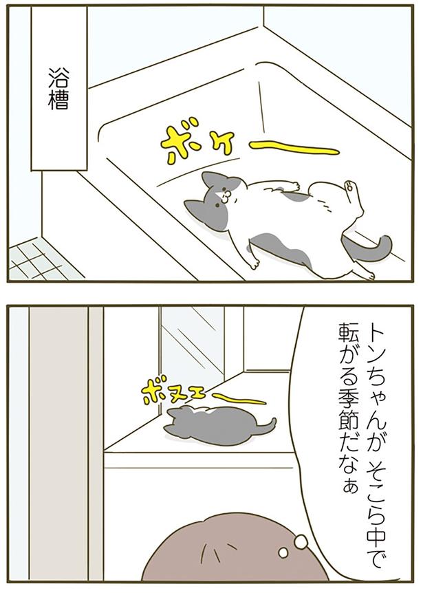 そこらじゅうに… （C）卵山玉子／KADOKAWA