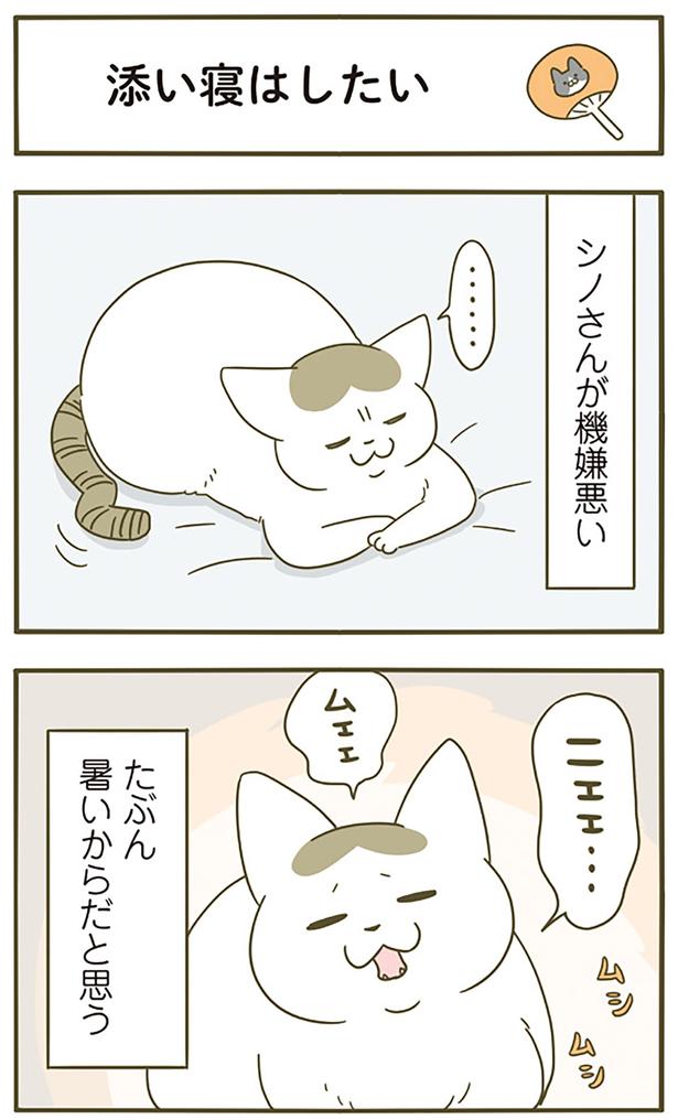 機嫌が悪いシノさん （C）卵山玉子／KADOKAWA