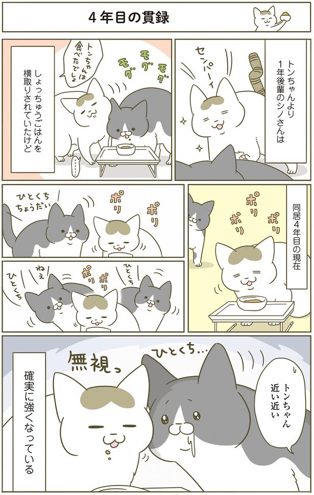 同居4年目の現在 （C）卵山玉子／KADOKAWA