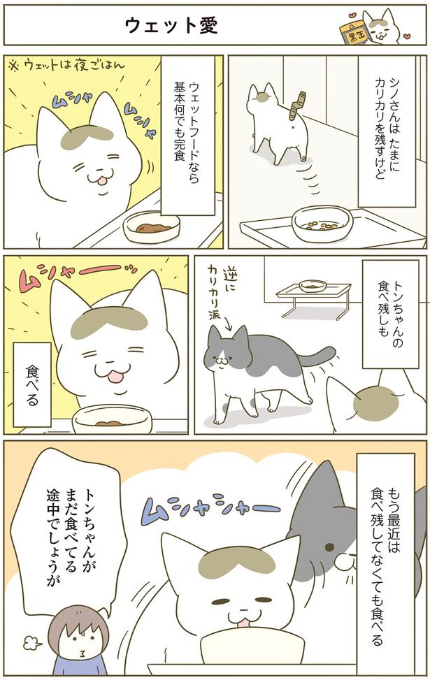 トンちゃんがまだ食べてる途中でしょうが （C）卵山玉子／KADOKAWA