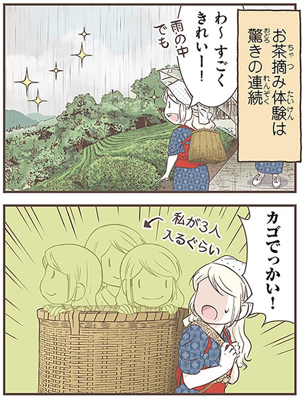 カゴでっかい！ （C）オーサ・イェークストロム／KADOKAWA
