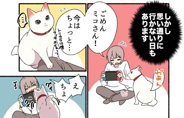 手が離せないときもあるのだが、猫様には関係ない？