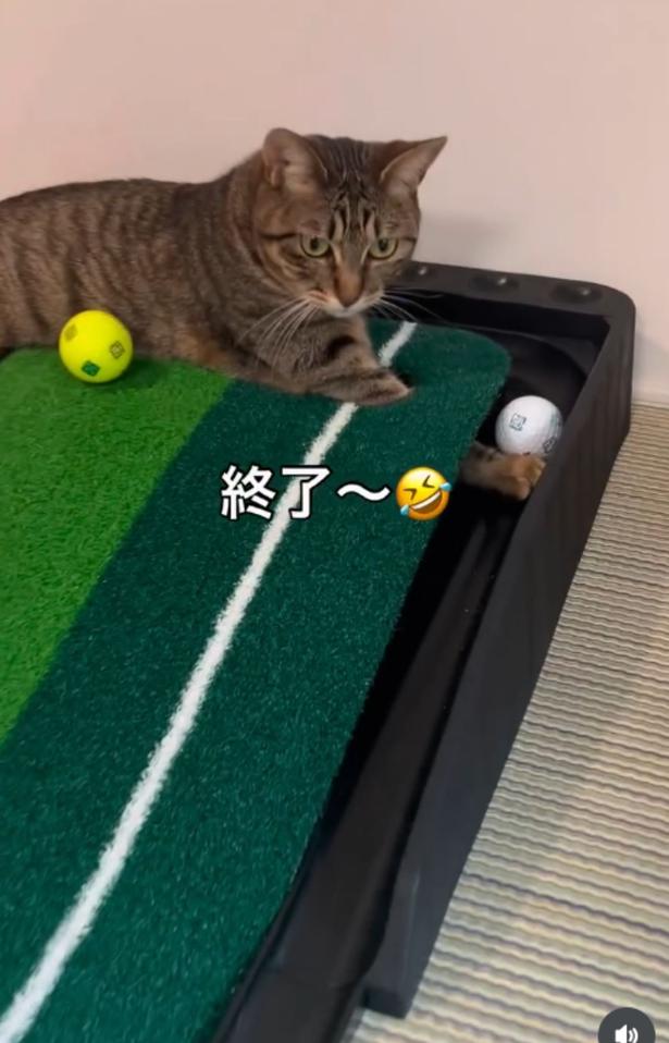 練習できないよ…▶(次画像から元保護猫の黒猫・ろんと暮らす毎日を描いた『黒猫ろんと暮らしたら6』が読めます) neromoka_tokidoki_neoさんのInstagramより