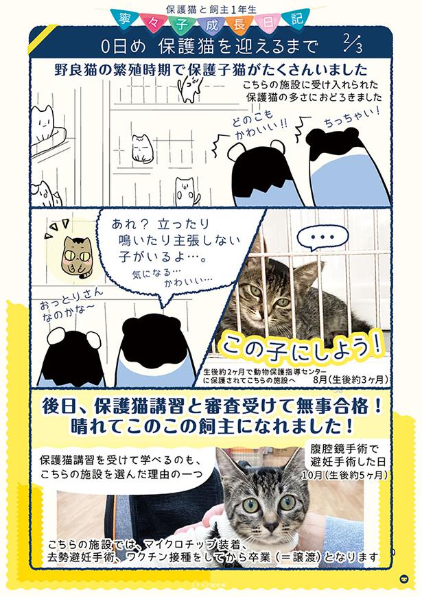0日め　保護猫を迎えるまで 協力：未来@猫と教育とアプリ制作(@MikiTainaka)