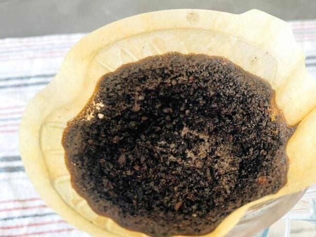 捨てていたコーヒーかすは、油汚れを落としてくれる（▶どうやって？） 撮影／かに