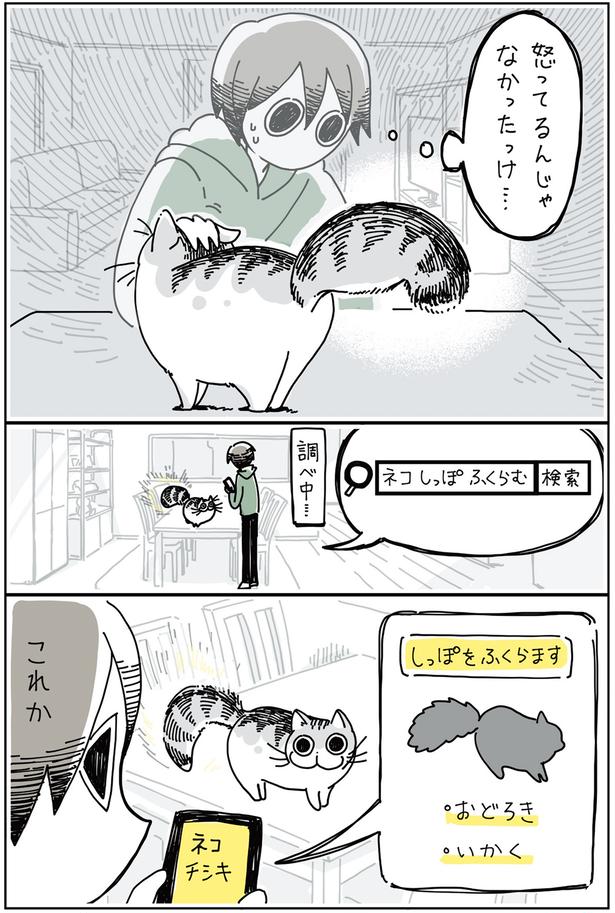 この状態ってたしか… （C）キュルZ／KADOKAWA
